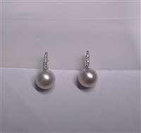 Earrings Soprana Woman PERLE in Gold Perla OMK7 AUSTR 10.5